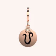 ~ Zodiac of the Month ~  Leo’s the fiercest sign in the hood