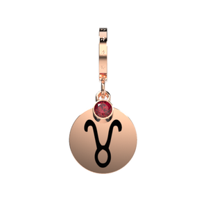 Taurus Charm