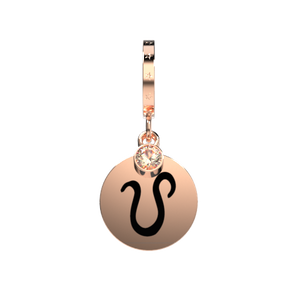 Leo Charm
