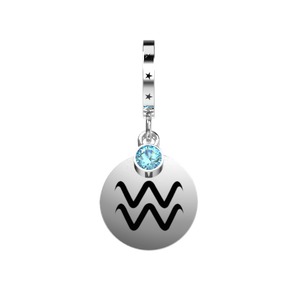 Aquarius Charm