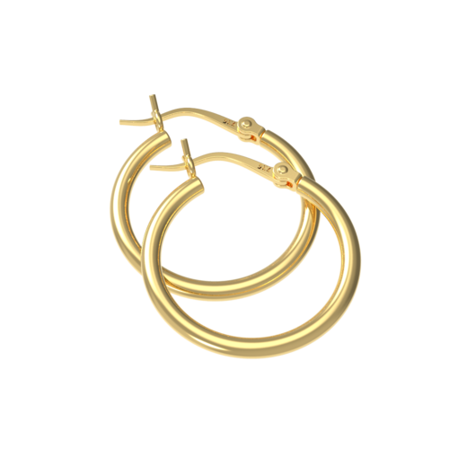er30006hsg-gold