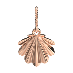 Sea Shell